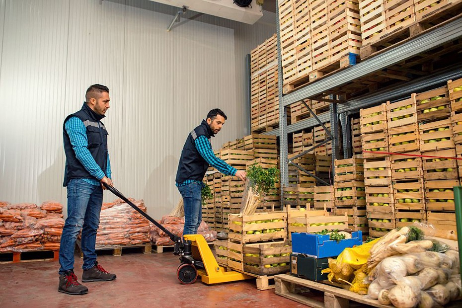 Deux hommes travaillant dans un entrepôt de fruits et légumes